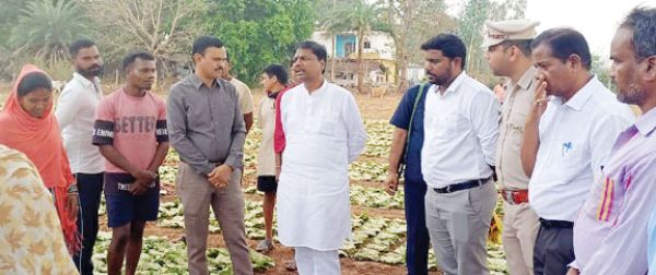 वन मंत्री ने दहिकोंगा तेंदूपत्ता फड़ का किया निरीक्षण, संग्राहकों से संवाद