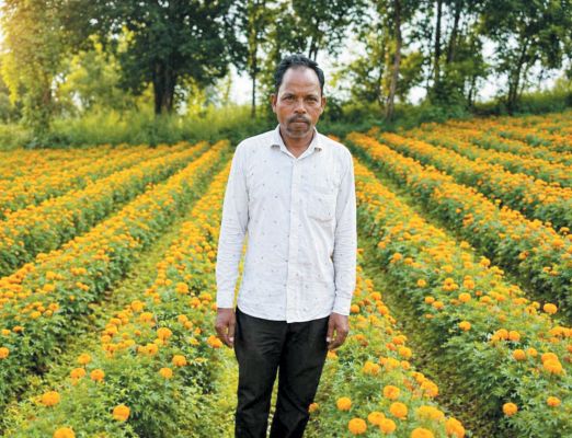फूलों की खुशबू से महकी किस्मत 