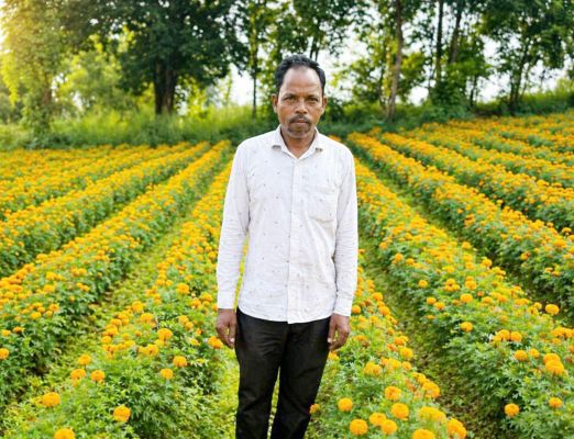 फूलों की खुशबू से महकी किस्मत: एनएचएम योजना से किसान की आमदनी में बड़ा इजाफा