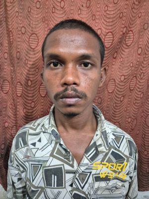 दुर्ग में हत्या व लूट का फरार मुख्य आरोपी गिरफ्तार, साक्ष्य व नकदी बरामद