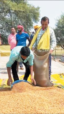अनाज भंडारण योजना में धमतरी की 4 समिति शामिल, 25 सौ मीट्रिक