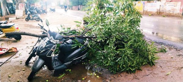 आंधी-तूफान: पेड़ गिरे, मकानों को पहुंचाया नुकसान