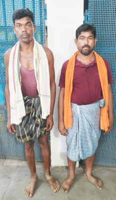 गौवंश तस्करी, दो गिरफ्तार