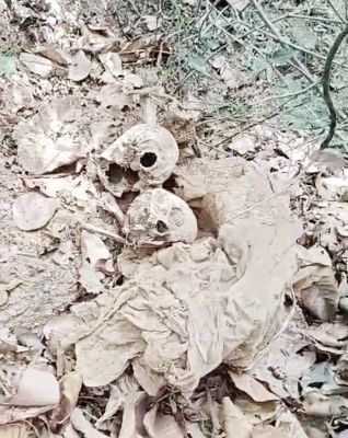 चमारीलुंगरा जंगल में  मिले दो नरकंकाल