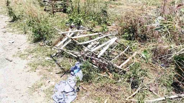 350 और 270 रुपये का ट्री गार्ड खुद मांग रहा सुरक्षा 