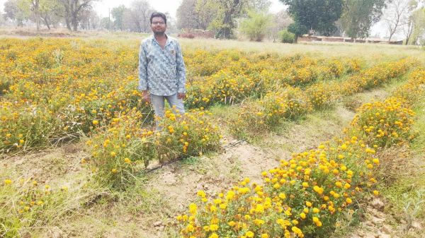राष्ट्रीय बागवानी मिशन से गितेश्वर को मिली नई पहचान