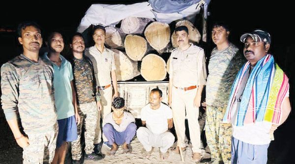 साल लट्ठा सहित पिकअप जब्त, दो आरोपी गिरफ्तार