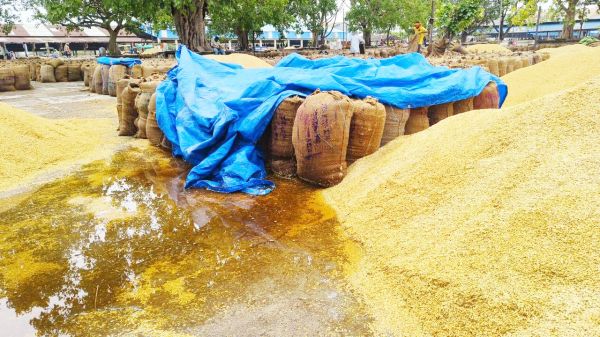 तपती गर्मी से मिली राहत,  तेज बारिश से लुढक़ा पारा  