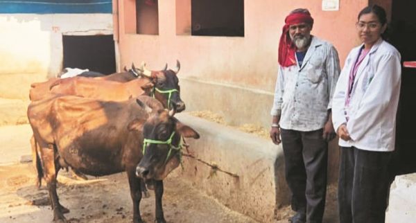 डेयरी फार्म एक सफल पशुपालन व्यवसाय