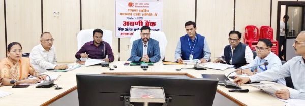 कलेक्टर ने की बैंकों के कामकाज की समीक्षा