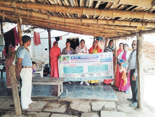  राष्ट्रीय डेंगू दिवस: साफ-सफाई, मच्छरों की रोकथाम के साथ बचाव का दिया संदेश