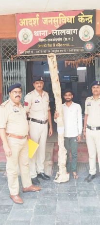 बाड़ी में गांजा की खेती, 6 पौधों के साथ आरोपी गिरफ्तार
