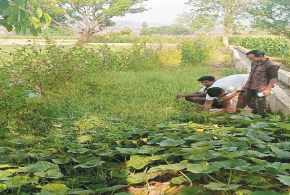 मनरेगा की पहल से बेहतर हुई सिंचाई व्यवस्था