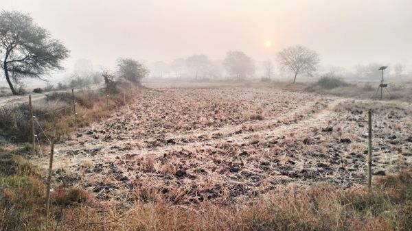 शासकीय जमीन को कब्जा मुक्त कराने का आदेश, ग्रामीणों में हर्ष