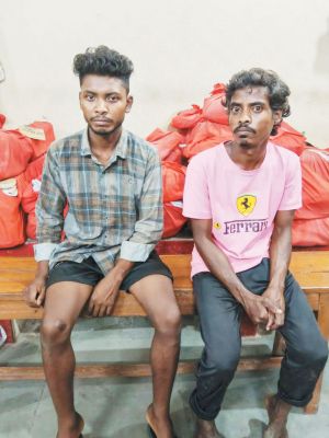 मवेशी तस्करी, 2 आरोपी गिरफ्तार