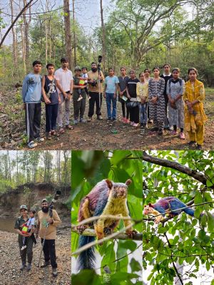 बलौदाबाजार देवपुर जंगल में बर्डिंग ट्रेल के दौरान दिखी जायंट मालाबार स्क्विरल, बारनवापारा क्षेत्र की समृद्ध जैव विविधता का संकेत