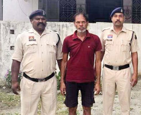  40  गांजा के पौधे जब्त, आरोपी गिरफ्तार