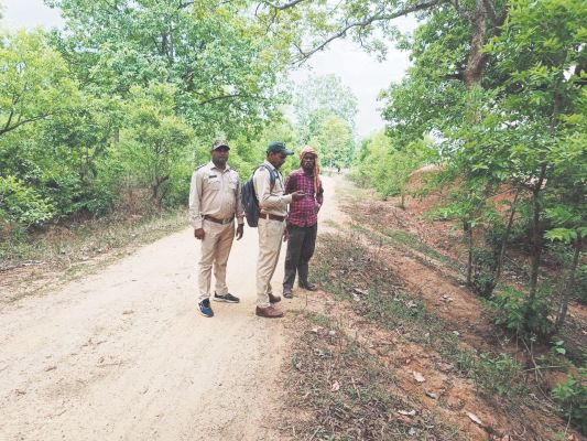 वन भूमि पर अतिक्रमण रोकने विशेष एंटी एनक्रोचमेंट ड्राइव शुरू