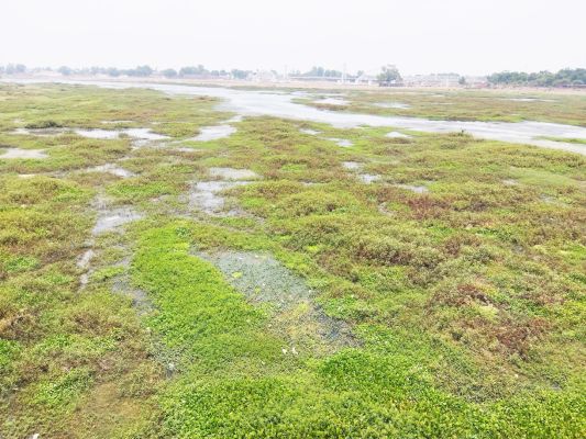 महानदी में डीजल गाडिय़ों की आवाजाही रोकें - मध्यानी