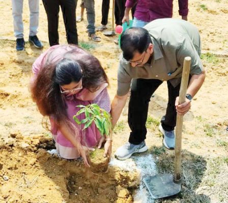जिला संयुक्त कार्यालय परिसर में पौधरोपण