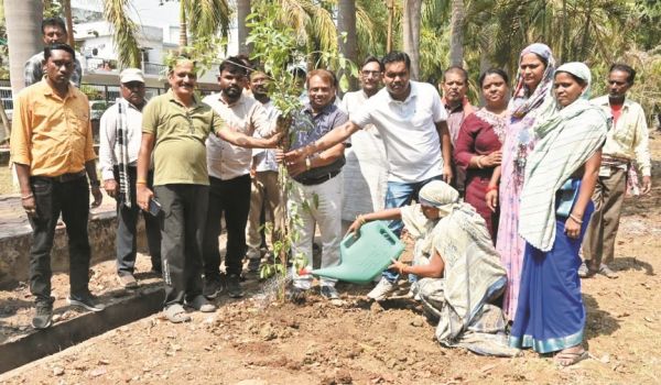 विश्व पर्यावरण दिवस पर निगम आयुक्त ने रोपे पौधे
