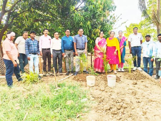 कॉलेज में पौधे रोपे