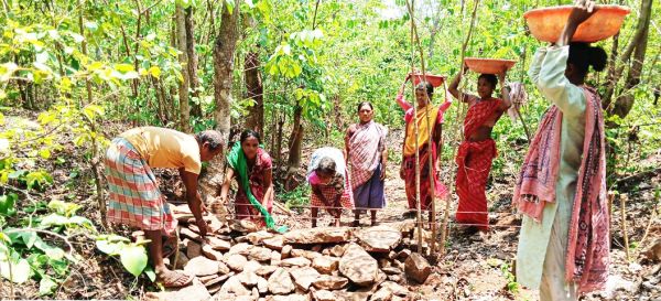 ‘मोर गांव, मोर पानी’ महाअभियान  पर्यावरण-जल संवर्धन अभियान तेज