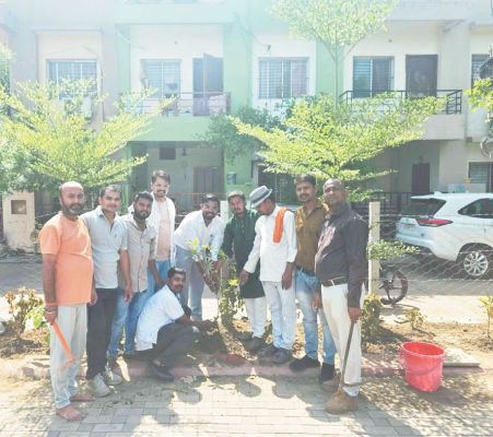 आईटी सेल प्रकोष्ठ ने किया पौधरोपण