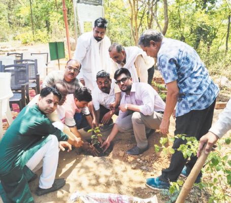 हसदेव नदी किनारे गोंडवाना मरीन फॉसिल्स पार्क में पौधरोपण