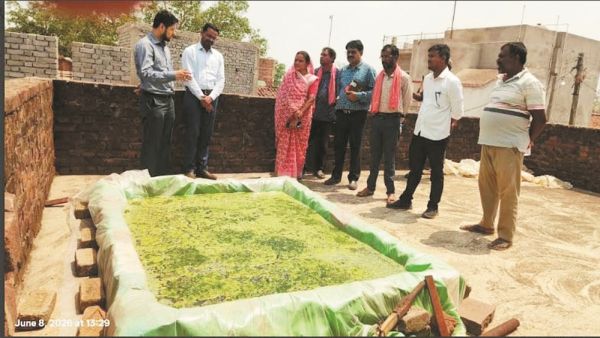 ग्राम ढौर व डूमर में हो रहा नील-हरित काई का उत्पादन