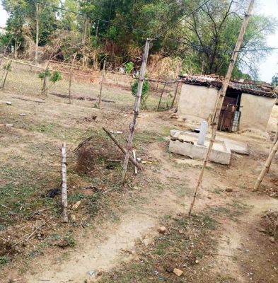 बांस-बल्ली के सहारे दौड़ रही बिजली, महीनों से झूल रहे 11 केवी तार