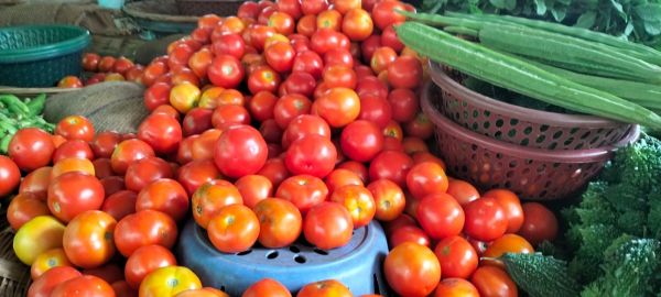 सब्जियों के दाम आसमान पर