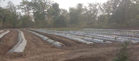 165270038221.jpg 165270038221.jpg