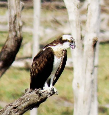 1654245642pran_3.jpg 1654245642pran_3.jpg