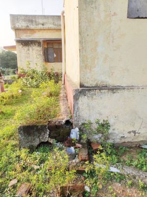 165641339903.jpg 165641339903.jpg