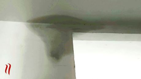 165779377103.jpg