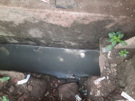 1663312984Rjn__5_(1).jpeg