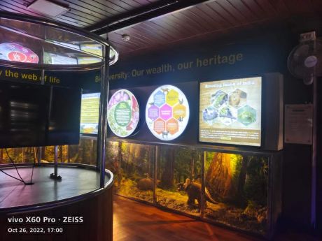 1666957122IMG-20221028-WA0023.jpg 1666957122IMG-20221028-WA0023.jpg