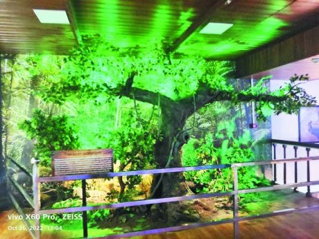 1666957122IMG-20221028-WA0029.jpg 1666957122IMG-20221028-WA0029.jpg