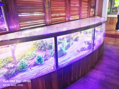 1666957122IMG-20221028-WA0030.jpg 1666957122IMG-20221028-WA0030.jpg