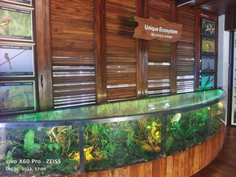 1666957123IMG-20221028-WA0021.jpg 1666957123IMG-20221028-WA0021.jpg