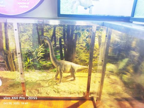 1666957123IMG-20221028-WA0031.jpg 1666957123IMG-20221028-WA0031.jpg