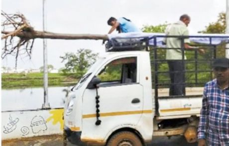 16724800410094.jpg 16724800410094.jpg