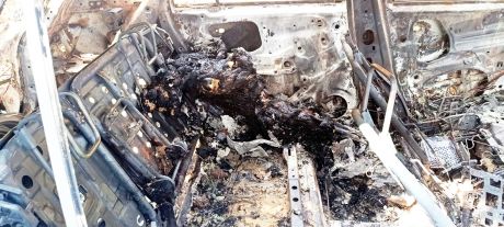 16744658780003.jpg 16744658780003.jpg