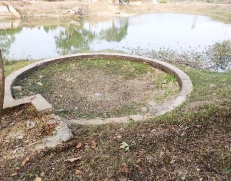 16755003250036.jpg 16755003250036.jpg