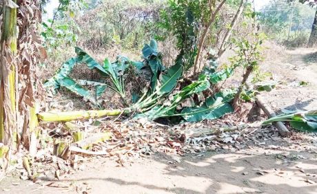 167594231408.jpg 167594231408.jpg