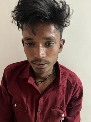 1678446619aaropi-2.jpg 1678446619aaropi-2.jpg