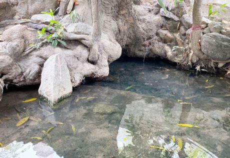 16848350280004.jpg 16848350280004.jpg