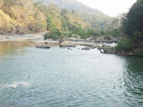 16958084080007.jpg 16958084080007.jpg