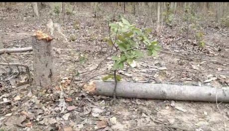 1718368876IMG_20240614_095505.jpg 1718368876IMG_20240614_095505.jpg